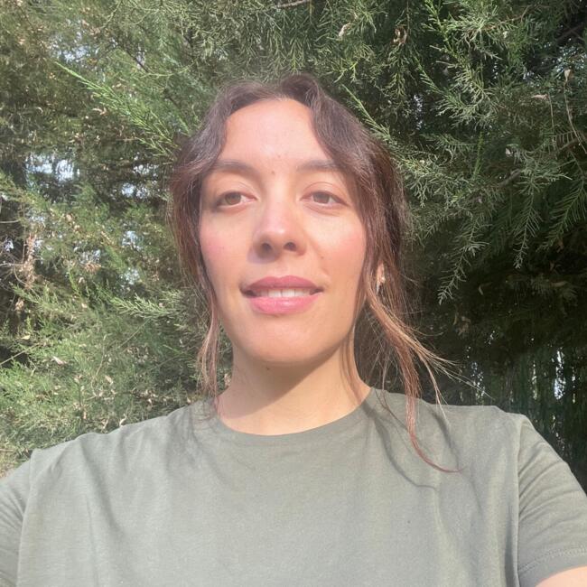 Babysitting job in Providencia: Alison