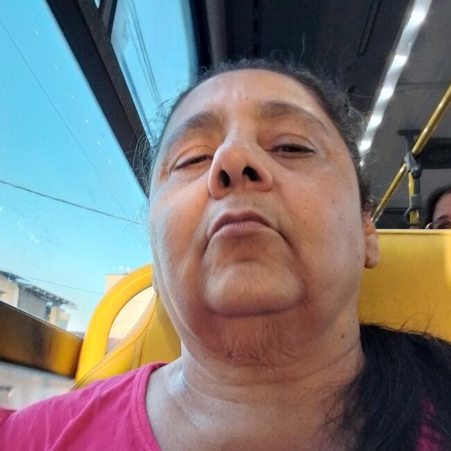 Babysitter in Indaiatuba: Rosane