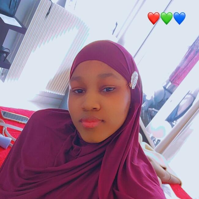 Babysitter in Rennes: Hawa