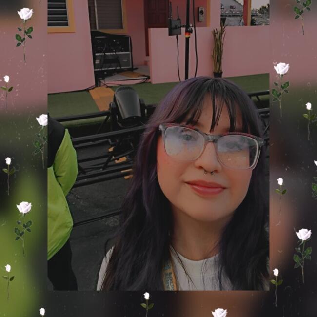 Babysitting job in Orizaba: Lupita