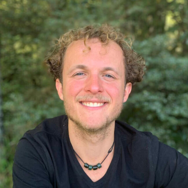 Babysitter in Porirua: Frank