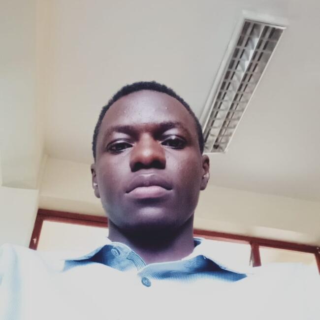 Babysitter in Thika: Shawn