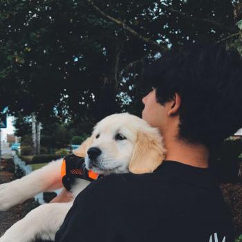 Babysitter Namen: Hugo