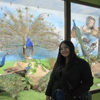 Niñera en San José: Emily Daniela Orozco Chamorro