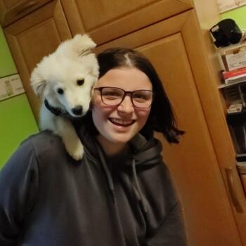 Babysitter in Oberkotzau: Sophia