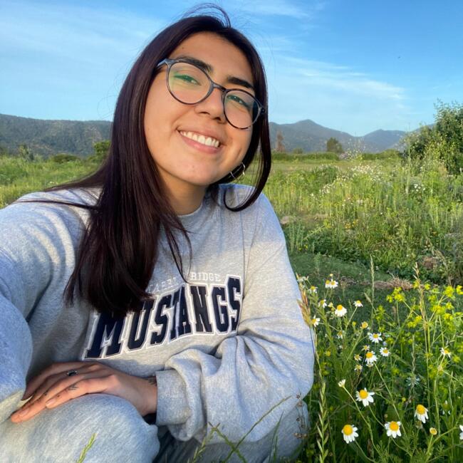 Babysitter in Melipilla: Monserrat
