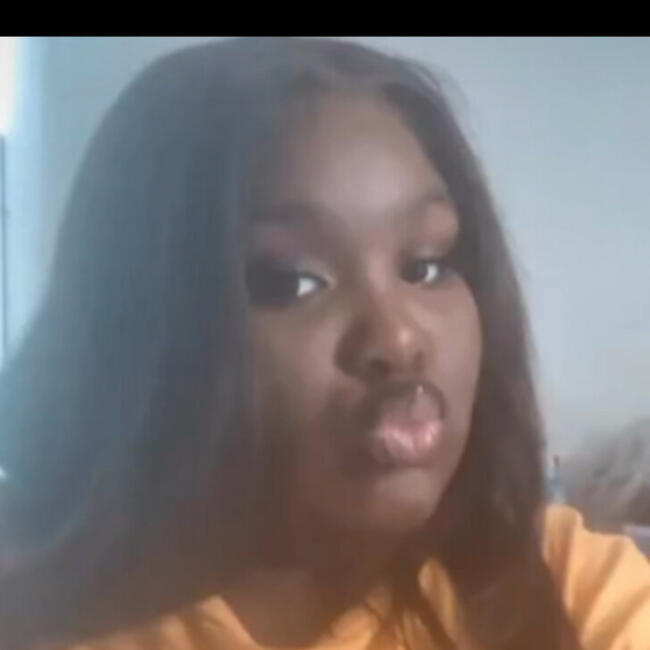 Babysitter in Hines (Illinois): Janiya