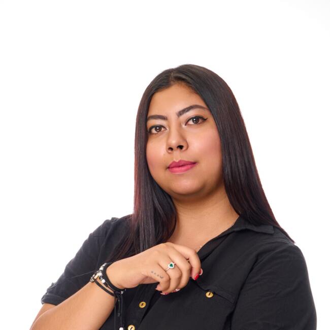 Babysitting job in Medellín: YULY VANESSA Hernández