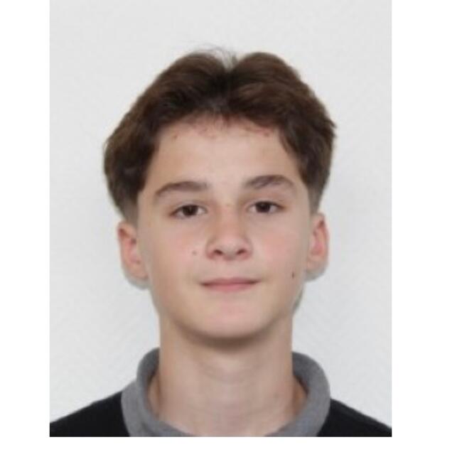 Babysitter in Meschers-sur-Gironde: Noé