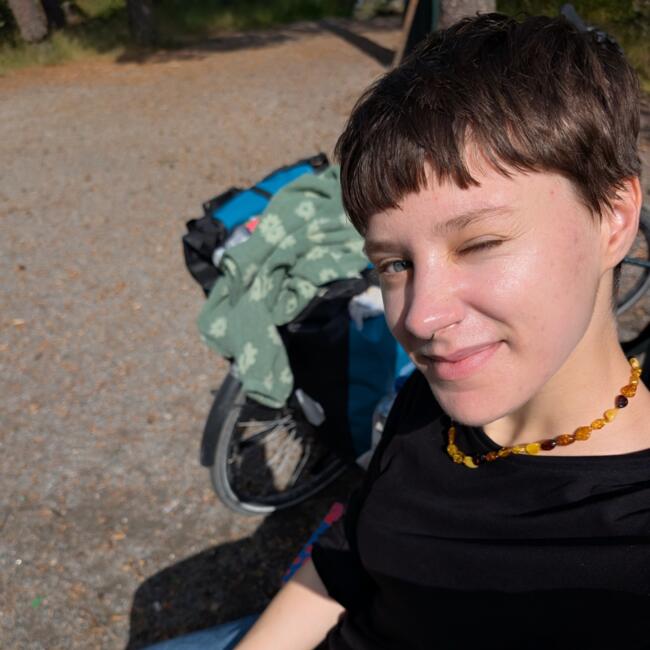 Babysitter in Erlangen: Leo