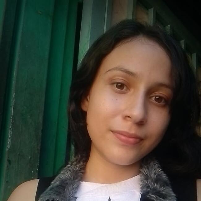 Niñera en Santa Teresa del Tuy: Crisbelys