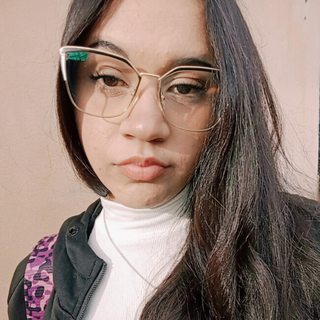 Babysitter in Leandro N. Alem (Provincia de Misiones): Brenda alicia
