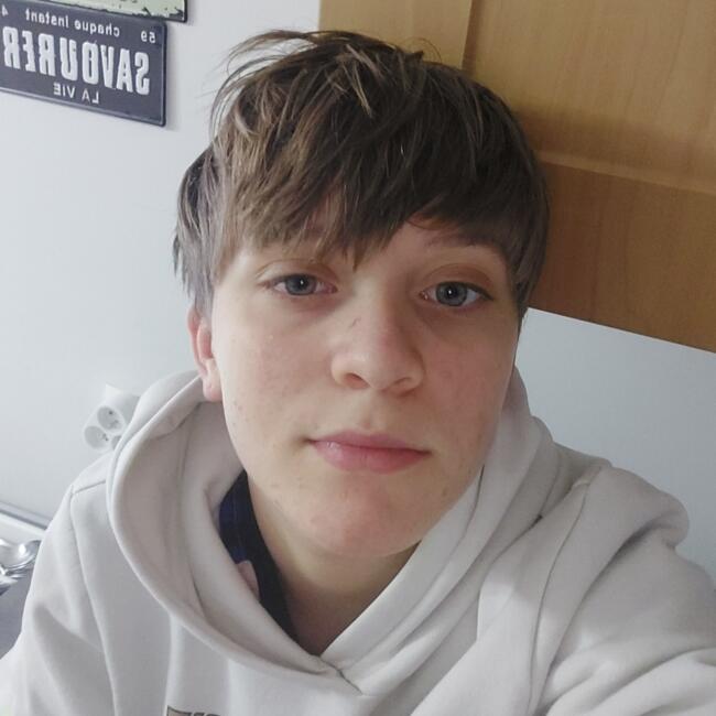 Babysitter in Bais: Anaelle