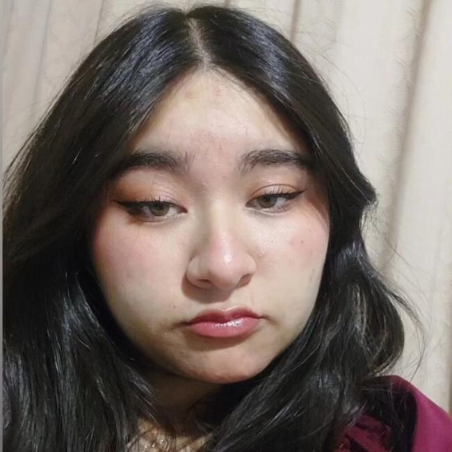Babysitter in Coyhaique: Daniela