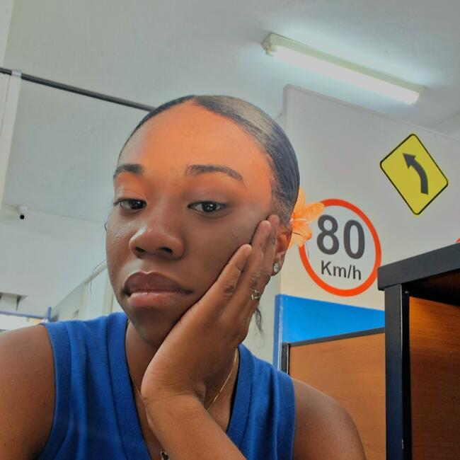 Babysitter in Ribeirão Preto: Rayana