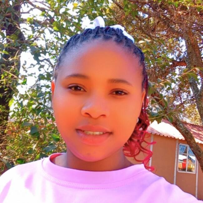 Babysitting job in Centurion: Anna