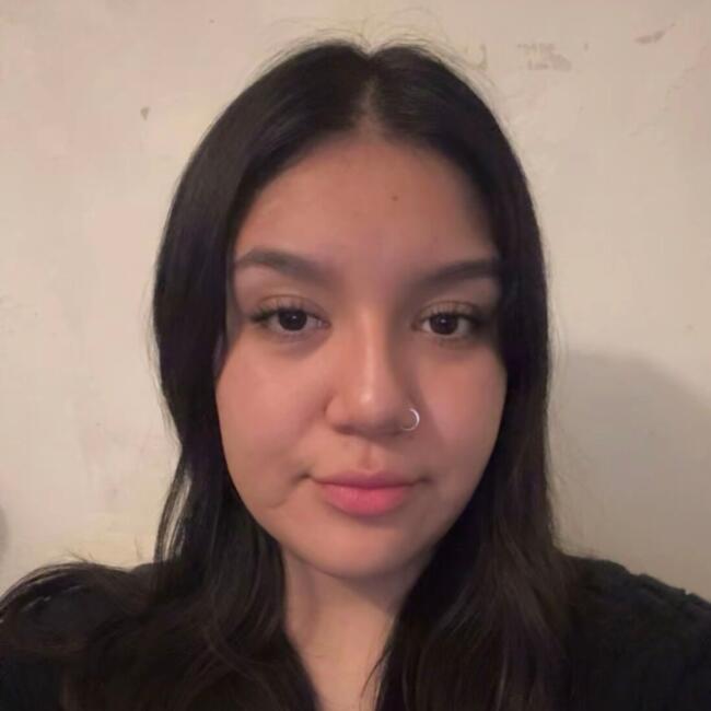 Niñera en Santiago de Chile: Camila