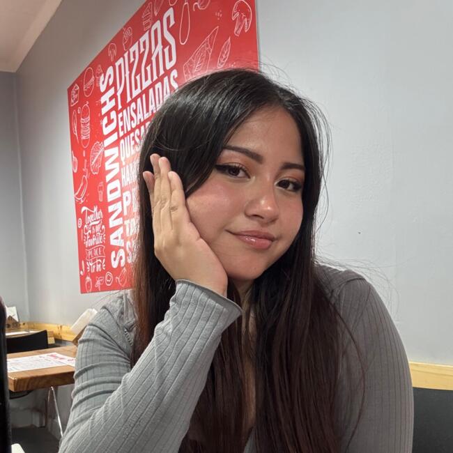 Babysitter in Concepción: Khrishna