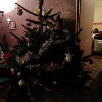 Jobs de baby-sitter à Nantes: job de garde d'enfants Alexandra