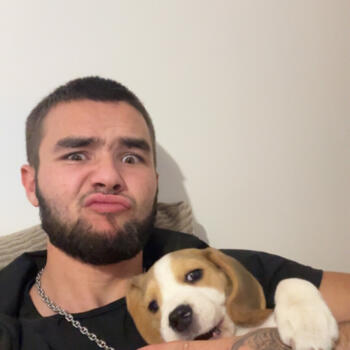 Babysitter in Ouzouer-sur-Trézée: Thomas