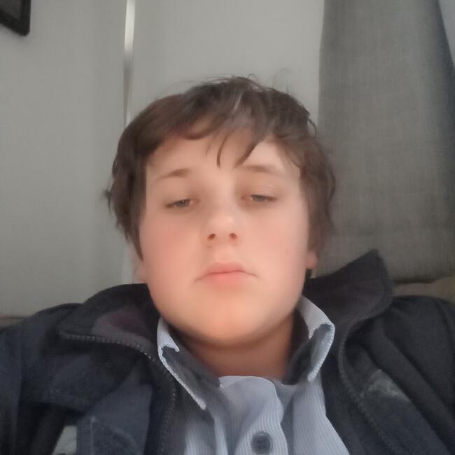 Babysitter in Dunedin: Alex