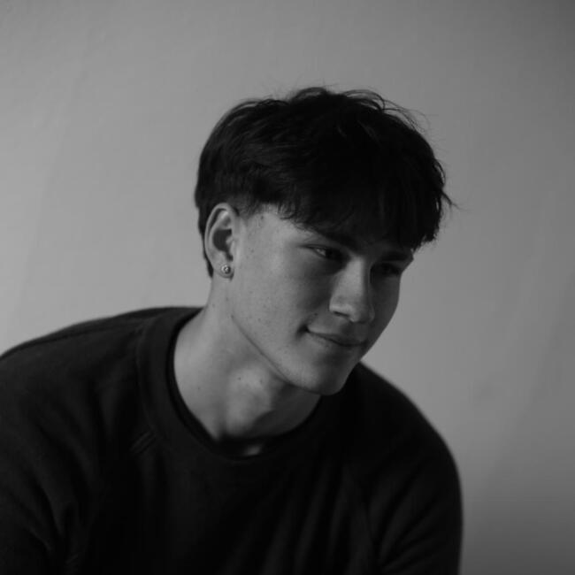 Babysitter in Baden: Nicolas