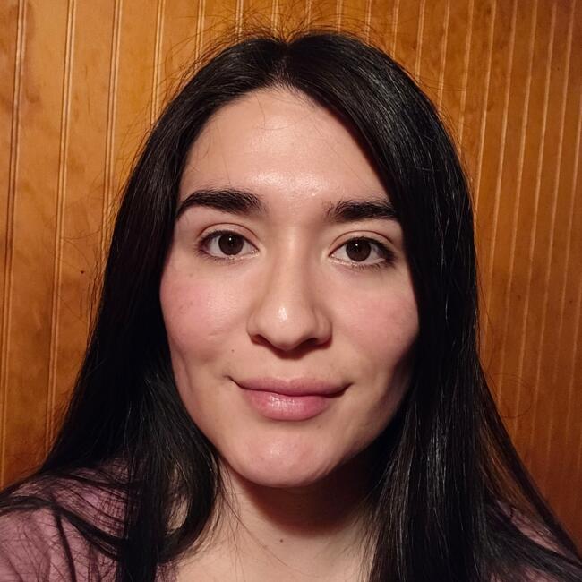 Babysitter in Port Montt: Carolina