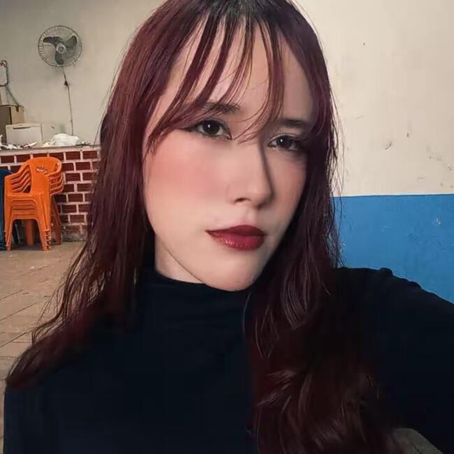 Babysitter in Pelotas: Alanis