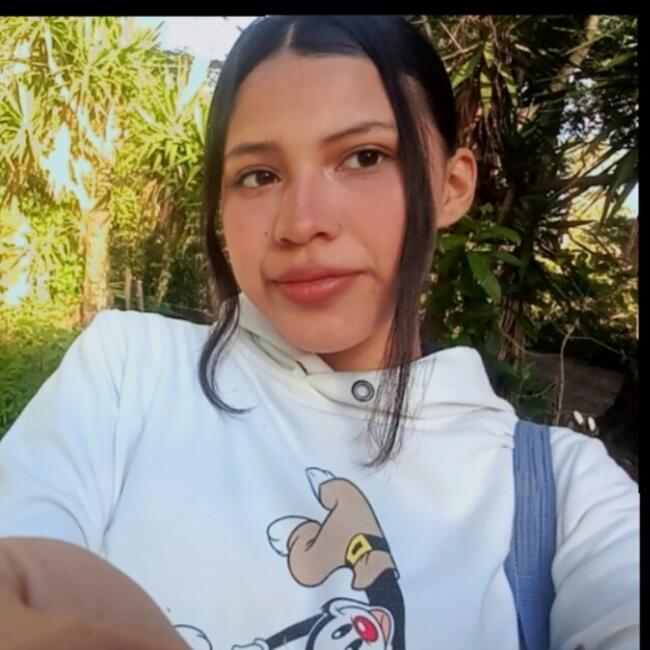 Babysitter in Desamparados (Provincia de San José): Isabel
