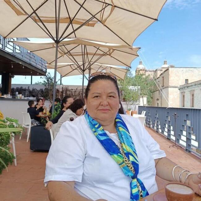 Babysitter in Fraccionamiento Real Santa María: Claudia