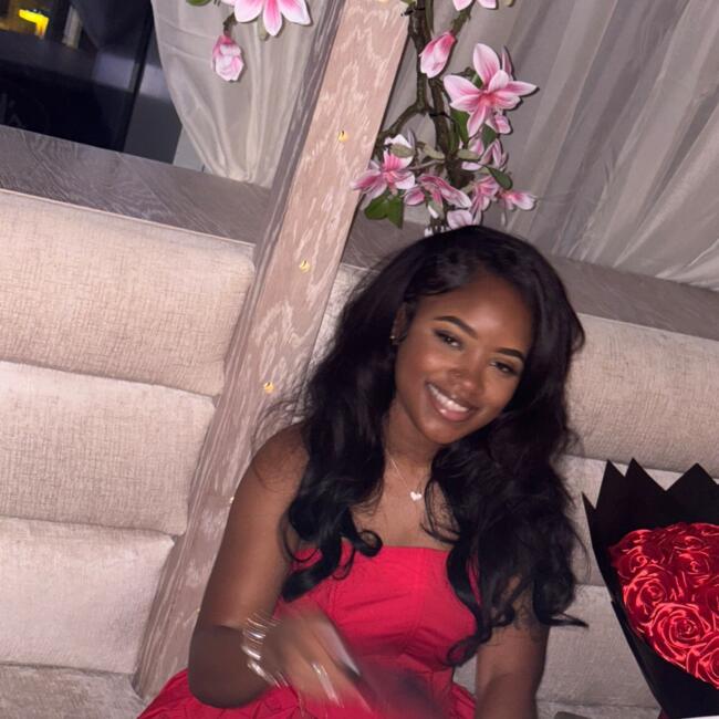 Babysitter in The Bronx: Devyn