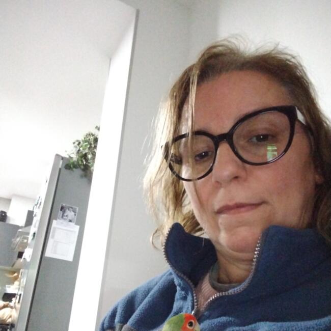 Babysitter in Silvares (Fafe): Tânia