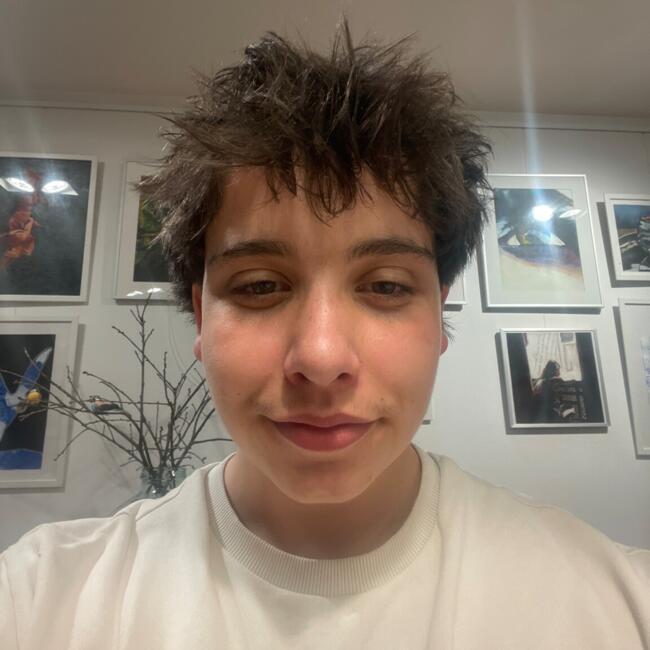 Babysitter in Rixensart: Diego