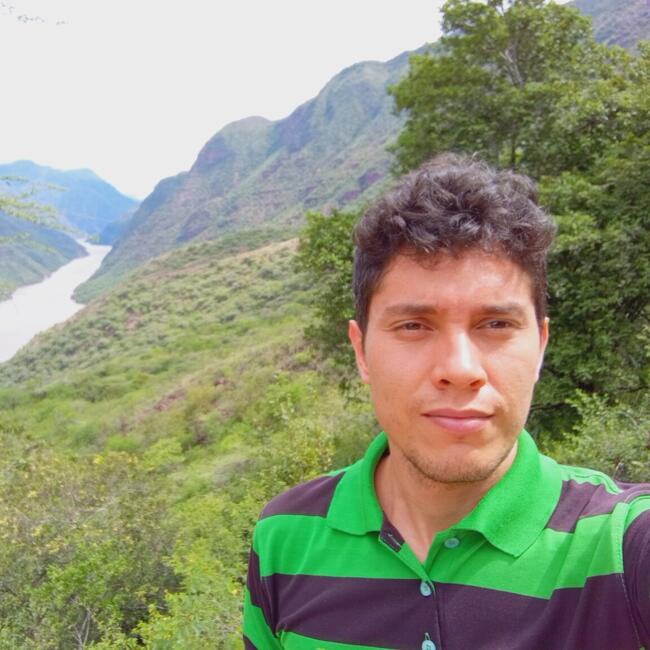 Trabajo para niñera en Bucaramanga: Julián