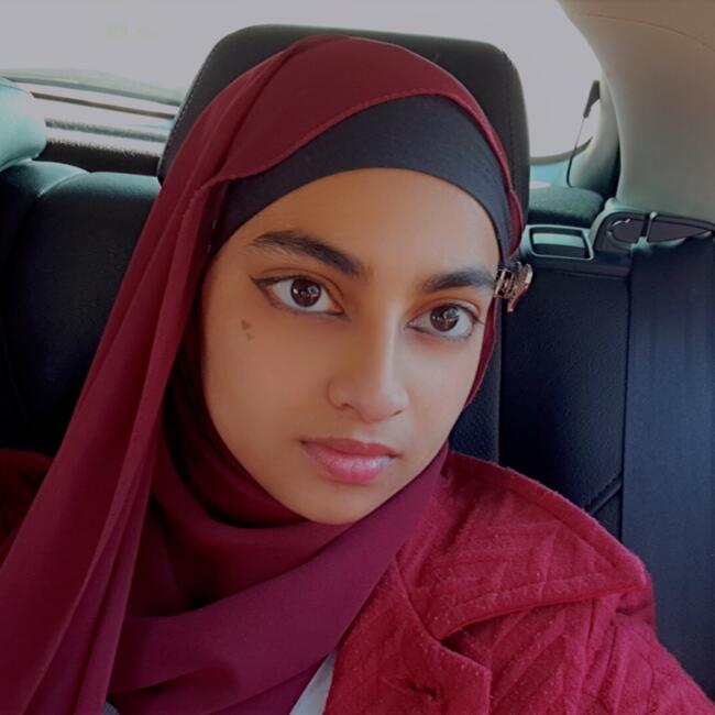 Babysitter in Midrand: Taz