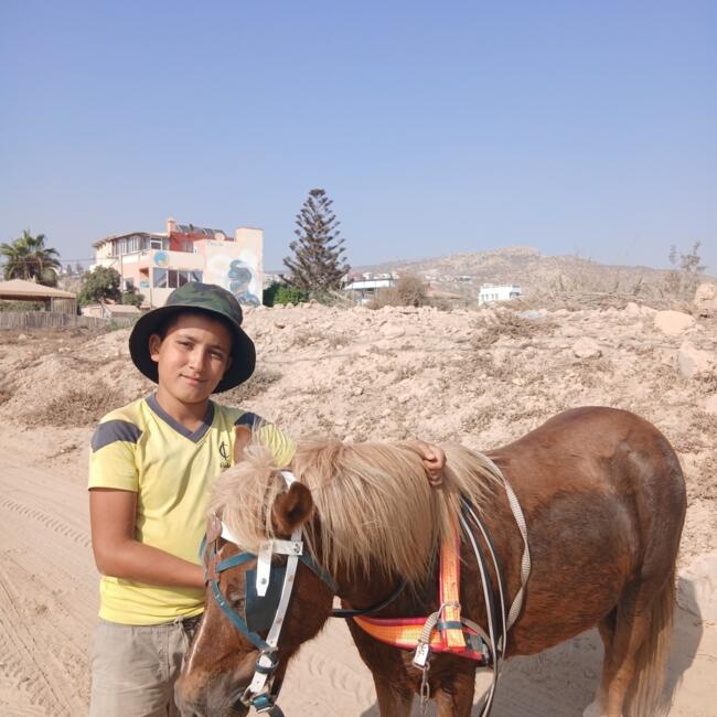 Job de garde d'enfants à Agadir: نورة