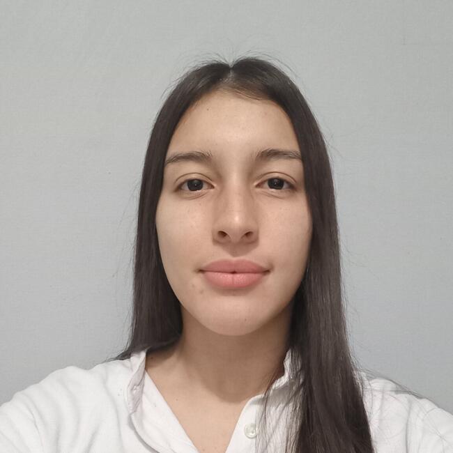 Babysitter in Santiago: Karen