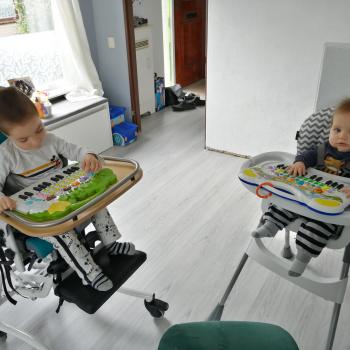 Oppaswerk Papendrecht: oppasadres Erwin