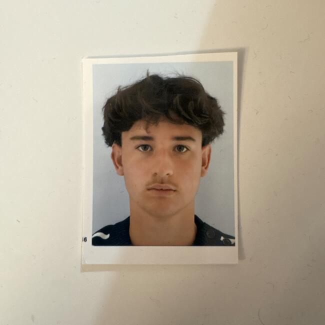 Babysitter in Lille: Louis