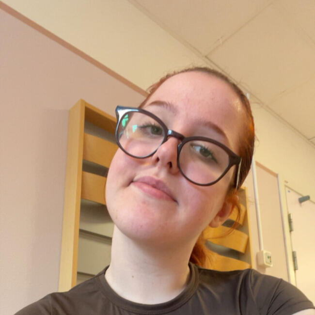 Babysitter in Upplands Vasby: Elin