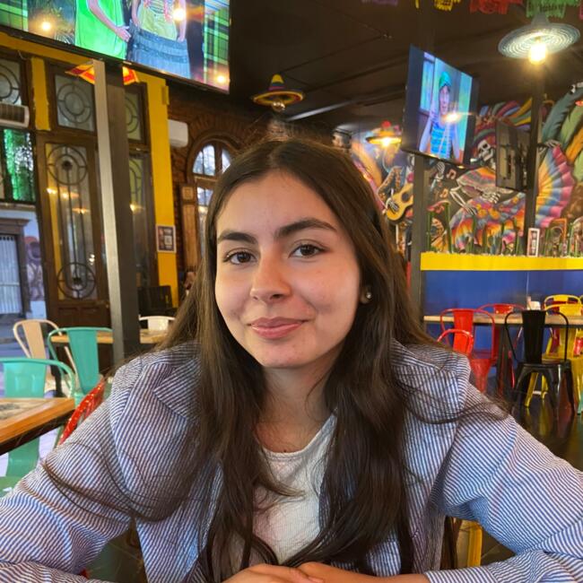 Babysitter in Macul: Francisca