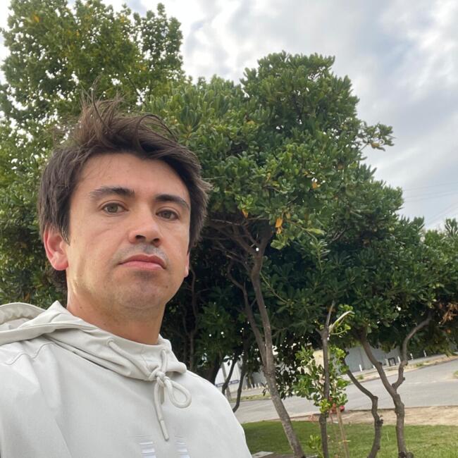 Babysitting job in Angol: Felipe