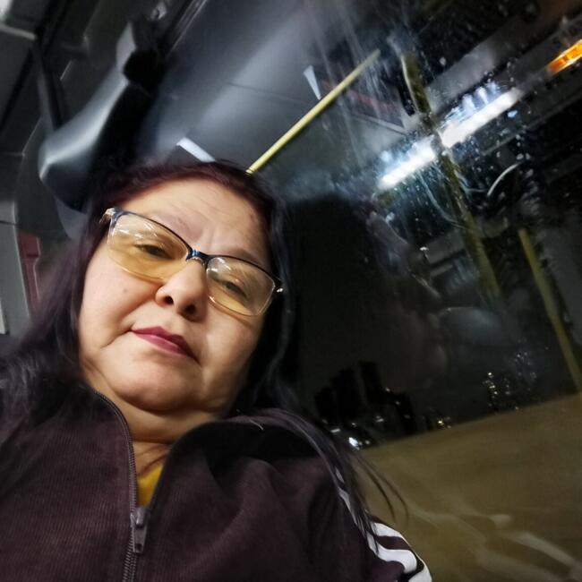 Babá em São Paulo: MariaRossivanda Silva