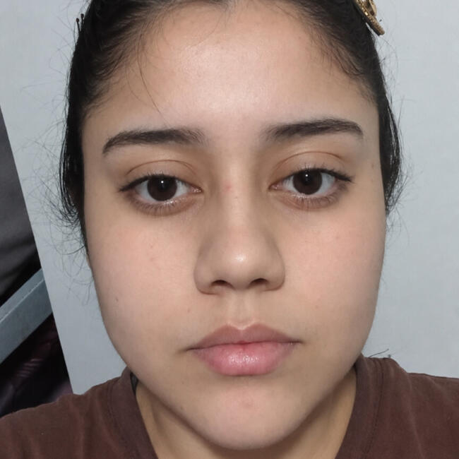 Babysitter in Mendoza: Nicol