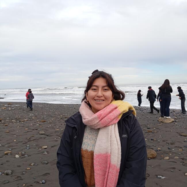 Babysitter in Temuco: Margarita