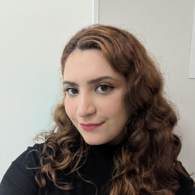 Babysitter in Piçarras: Meg