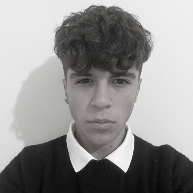 Babysitter in Reggio Emilia: Raffaele Gentile