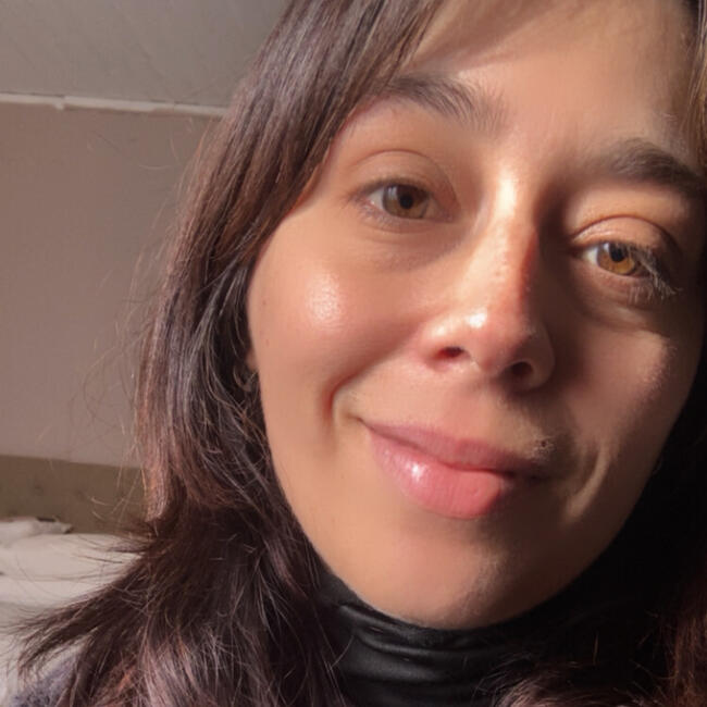 Niñera en Valparaíso: Karina