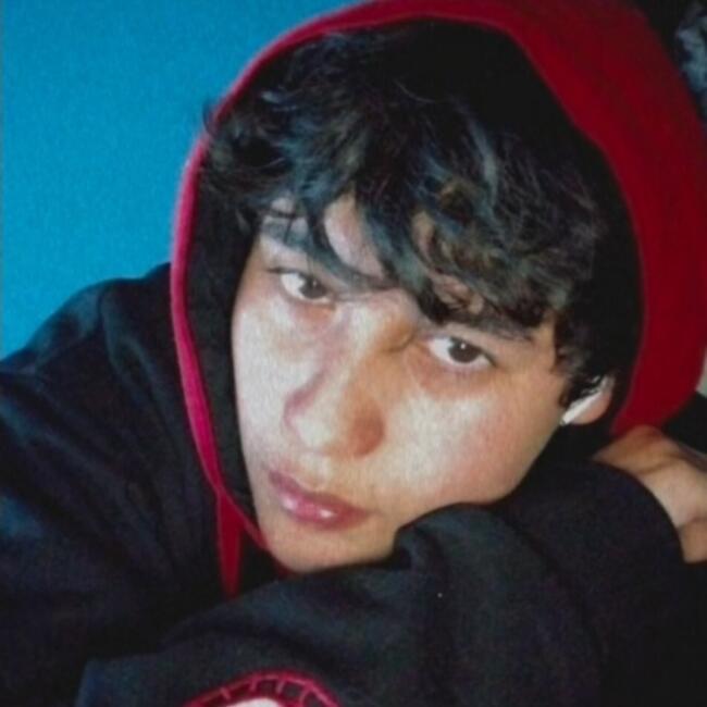 Niñera en Concepción: Lucas