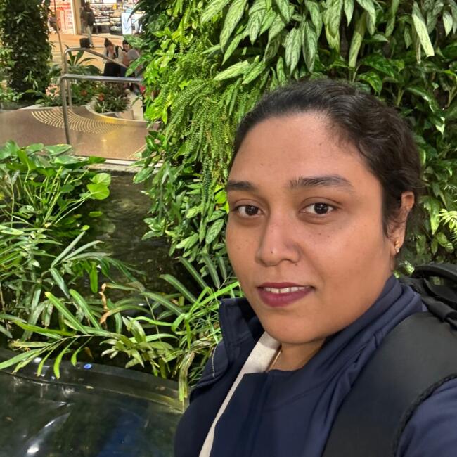 Babysitter in Christchurch: Ashique